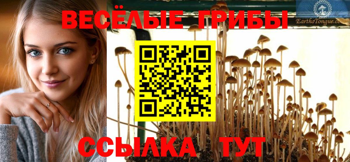 Белая Калитва  Псилоцибиновые грибы Psilocybine cubensis  Вход с VPN 